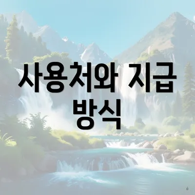 사용처와 지급 방식