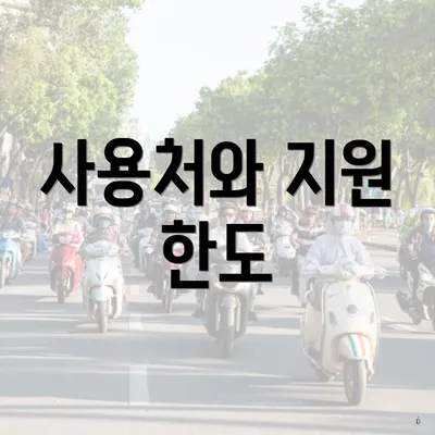 사용처와 지원 한도