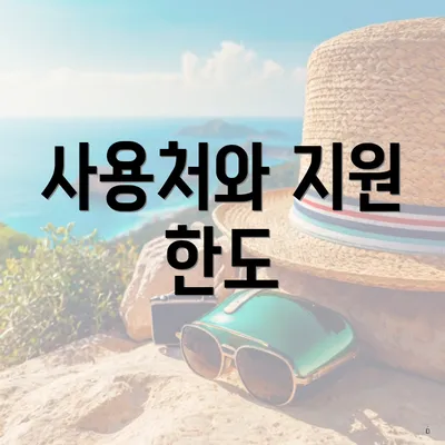 사용처와 지원 한도