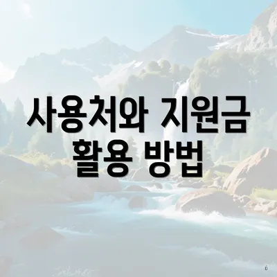 사용처와 지원금 활용 방법