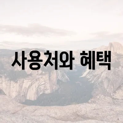 사용처와 혜택