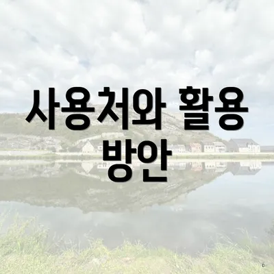 사용처와 활용 방안