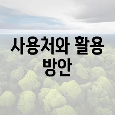 사용처와 활용 방안