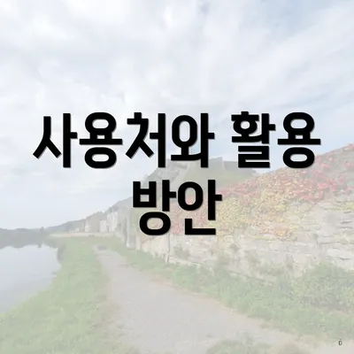 사용처와 활용 방안