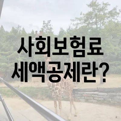 사회보험료 세액공제란?