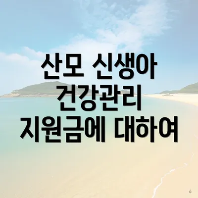 산모 신생아 건강관리 지원금에 대하여