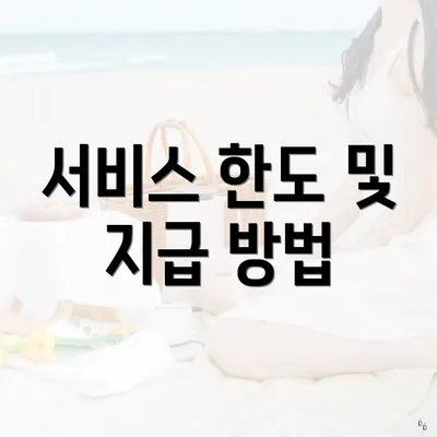 서비스 한도 및 지급 방법