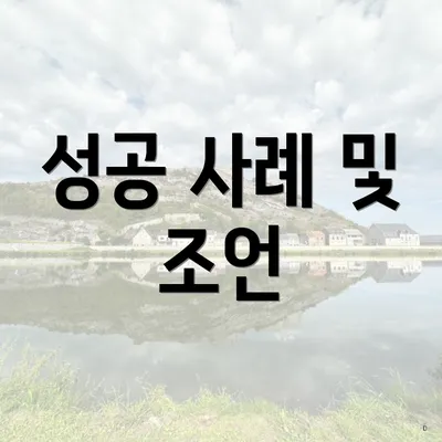 성공 사례 및 조언