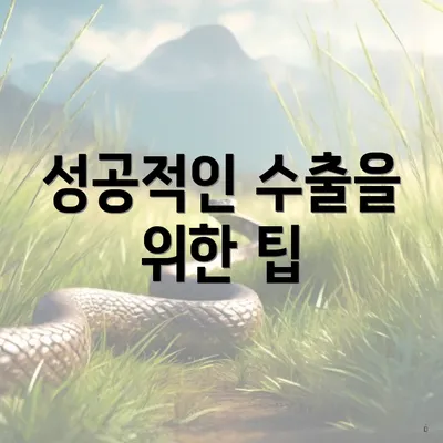 성공적인 수출을 위한 팁