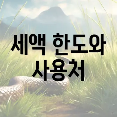 세액 한도와 사용처