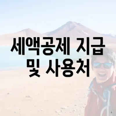 세액공제 지급 및 사용처