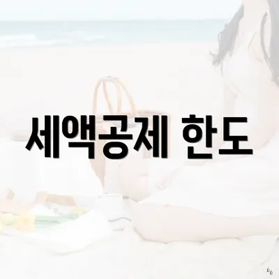 세액공제 한도