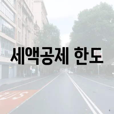 세액공제 한도
