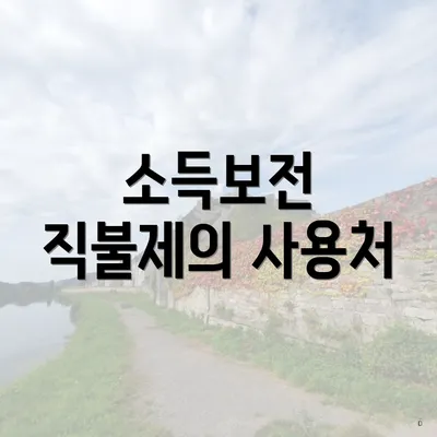 소득보전 직불제의 사용처
