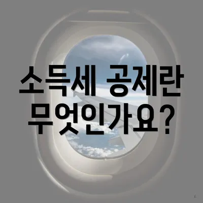 소득세 공제란 무엇인가요?