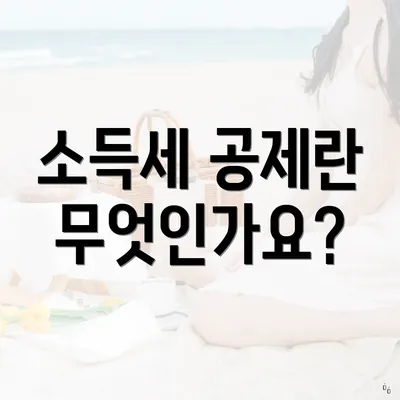 소득세 공제란 무엇인가요?