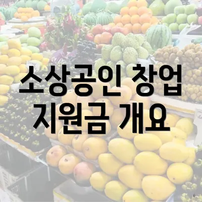 소상공인 창업 지원금 개요
