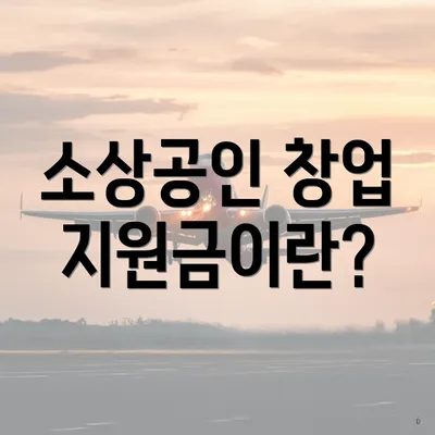 소상공인 창업 지원금이란?