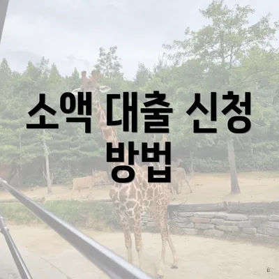 소액 대출 신청 방법