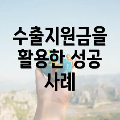 수출지원금을 활용한 성공 사례