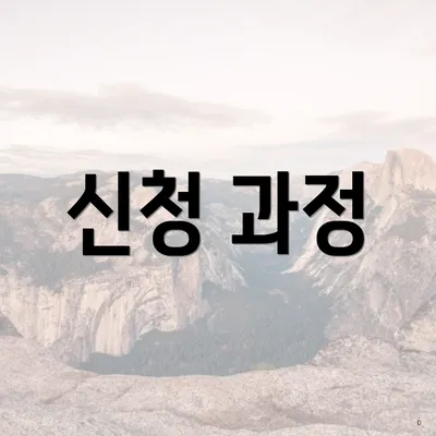 신청 과정