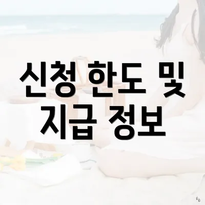 신청 한도 및 지급 정보