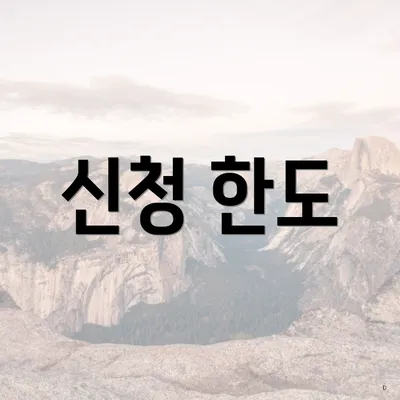 신청 한도