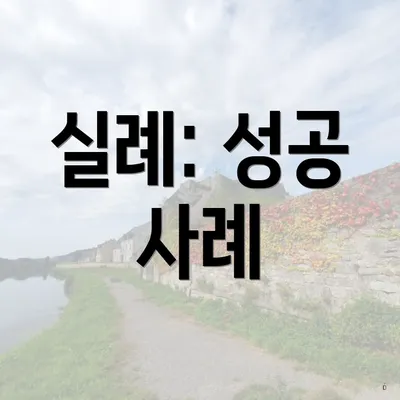 실례: 성공 사례