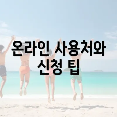 온라인 사용처와 신청 팁