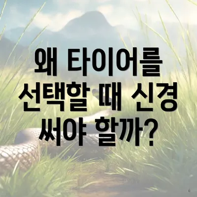 왜 타이어를 선택할 때 신경 써야 할까?