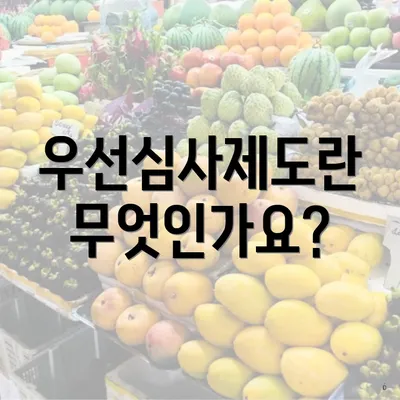 우선심사제도란 무엇인가요?