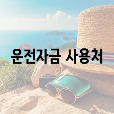 운전자금 사용처