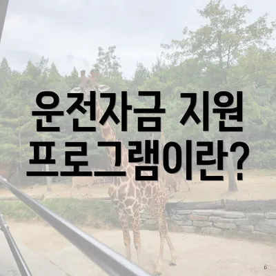 운전자금 지원 프로그램이란?