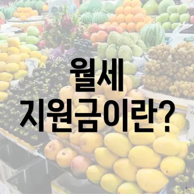 월세 지원금이란?