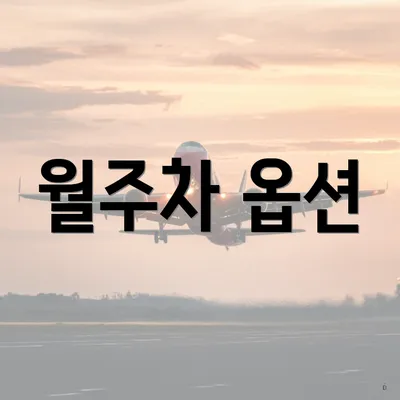 월주차 옵션