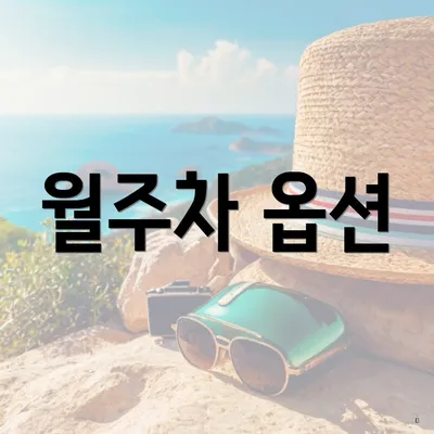 월주차 옵션