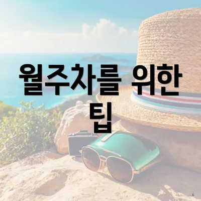 월주차를 위한 팁