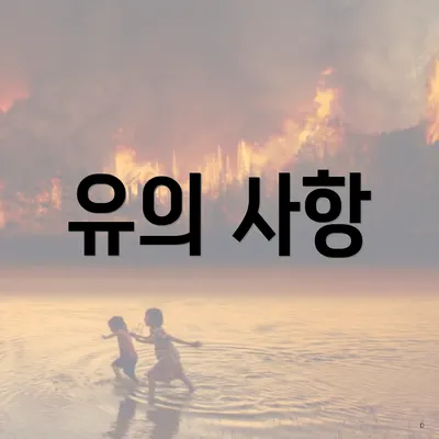 유의 사항
