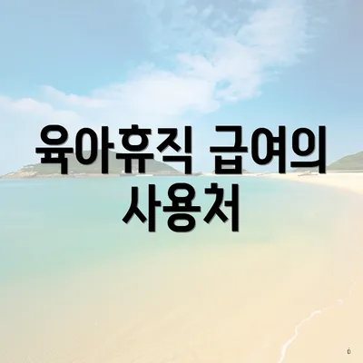 육아휴직 급여의 사용처