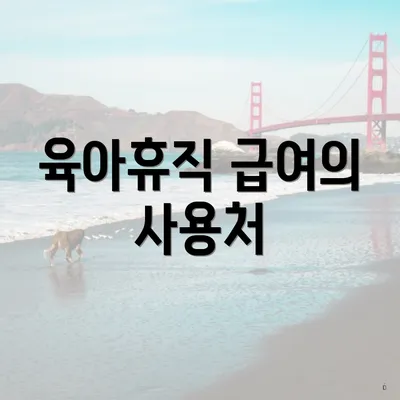 육아휴직 급여의 사용처