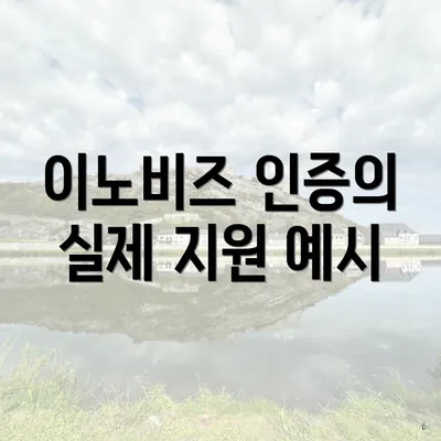 이노비즈 인증의 실제 지원 예시