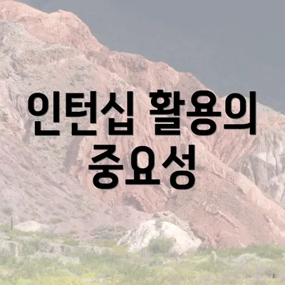 인턴십 활용의 중요성