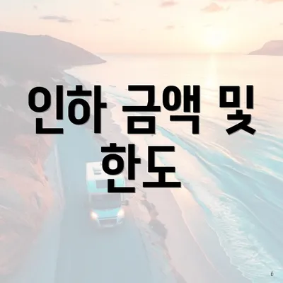 인하 금액 및 한도