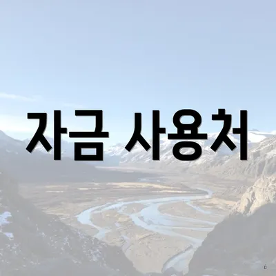 자금 사용처