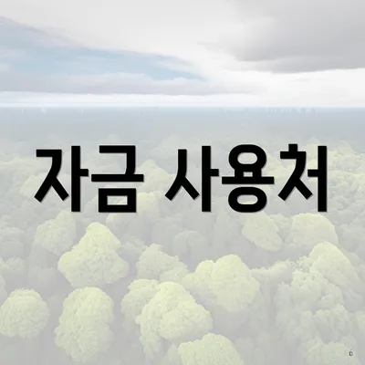 자금 사용처