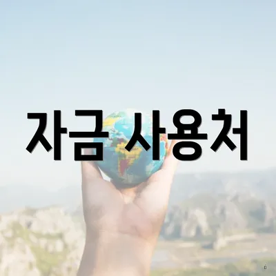 자금 사용처