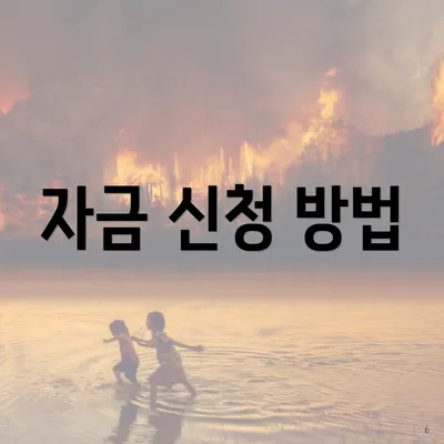 자금 신청 방법