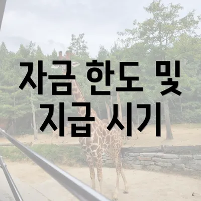 자금 한도 및 지급 시기