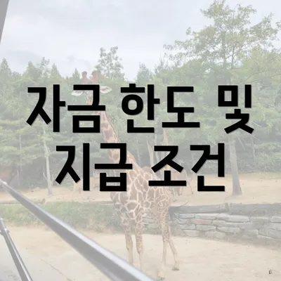 자금 한도 및 지급 조건
