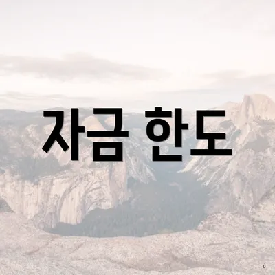 자금 한도